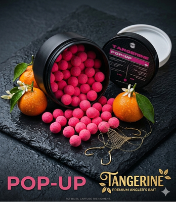 POP-UP Tangerine 8mm P05 фото